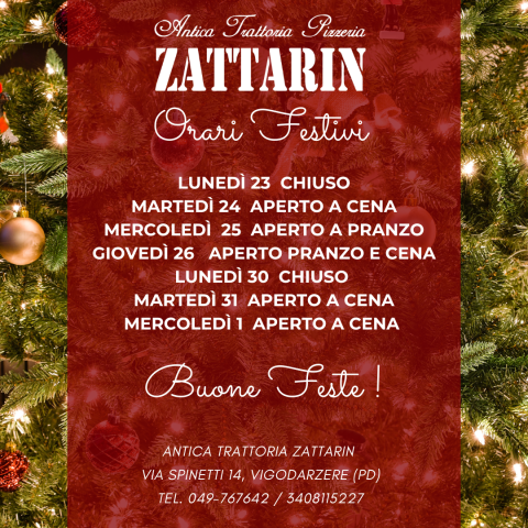 Immagine per Orari Festivi Natale 2024